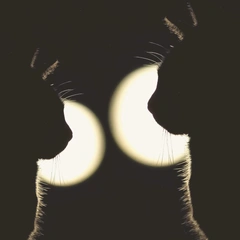 Cover art for Voltage Flash