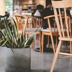 Crosswalk in Slow Time