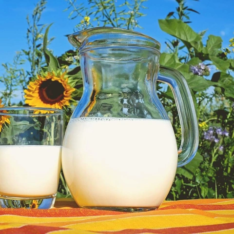 Cover art for Whistle And Wonder