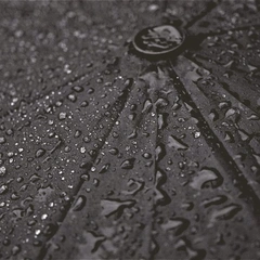 Echoes in an Empty Station