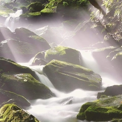 Cover art for Endless Horizon Inside