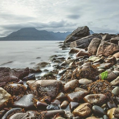 Solitude in Slow Motion