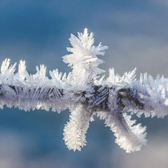 Cover art for Serene Expanse