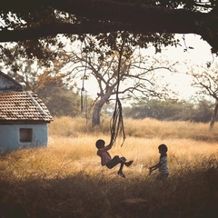 Pulse of the Machine