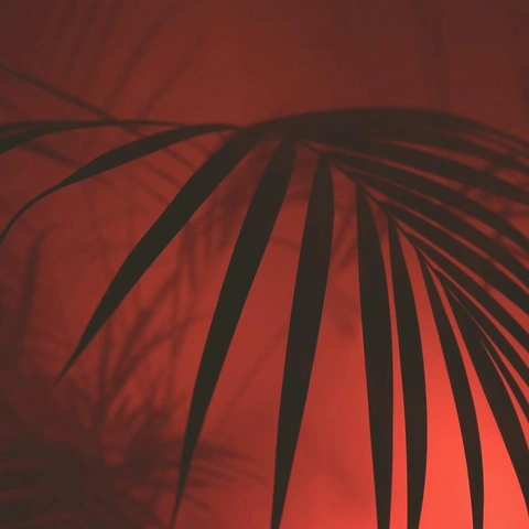 Cover art for Arcade Overdrive