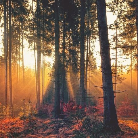 Pochette pour Story Place