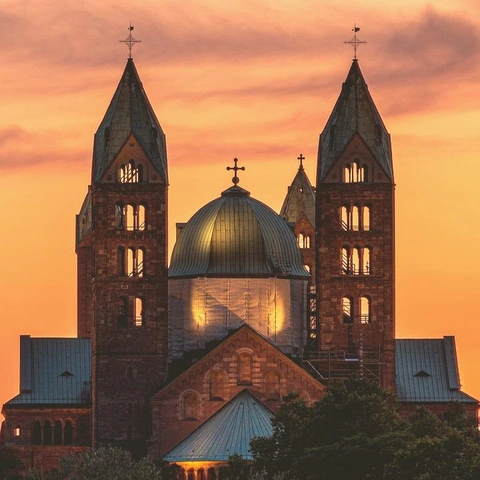 Pochette pour Melancholy Bloom