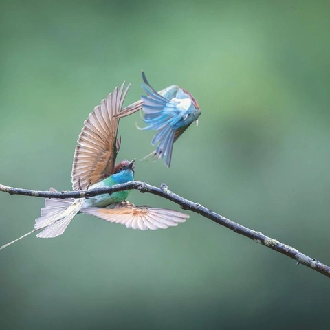 Power Playのジャケット画像