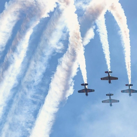 Portada para Vibe Noise