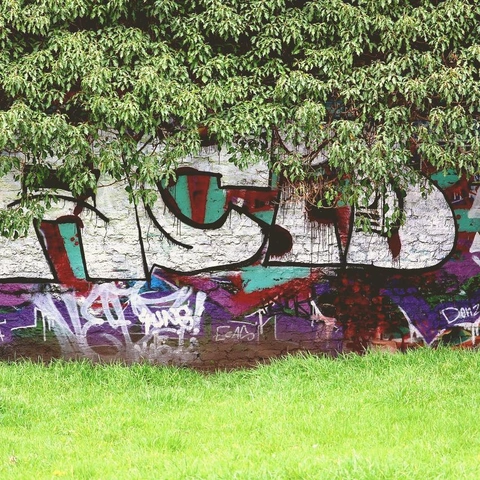 Cover art for Warp Shock