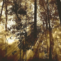 Cover art for Time Finds Us