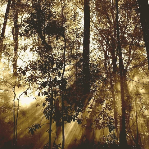 Cover art for Time Finds Us