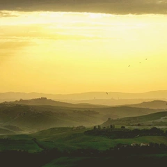 A Whisper on the Wind