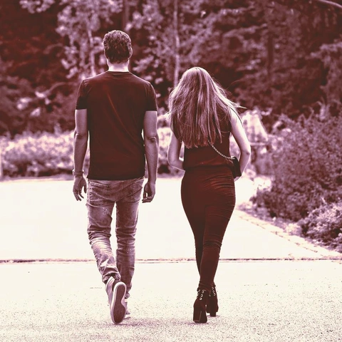 Pochette pour Folk Step