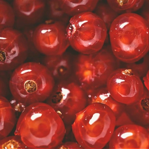 Pochette pour Rhythmic Night