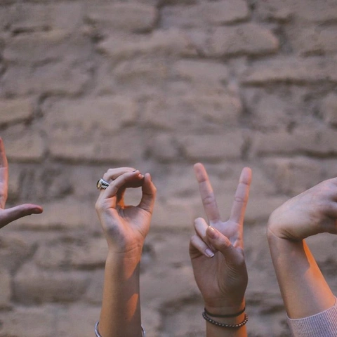 Pochette pour Paper Trails