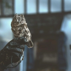 Old Town Christmas Carousel