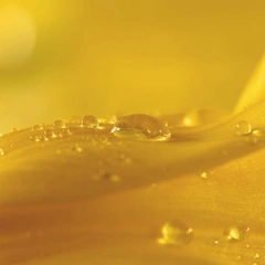 Letters in a Silver Frame