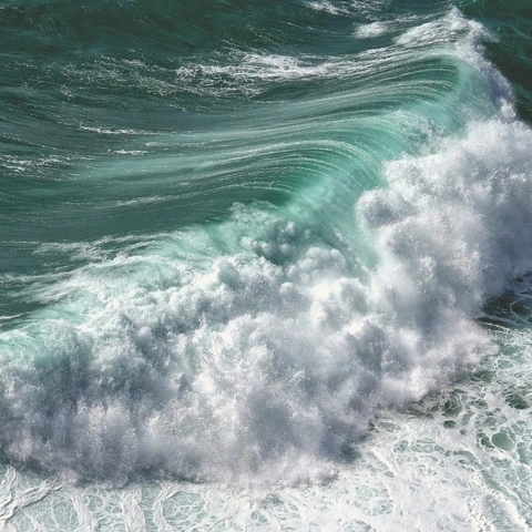 Portada para Rebel Frequency