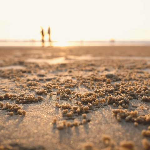 Ghost Soundのジャケット画像