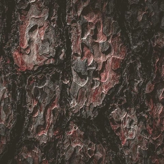 Cover art for Age of Thunder