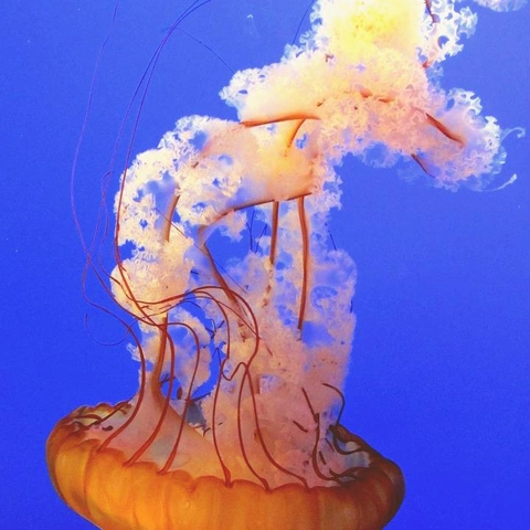 Pochette pour Ethereal Drift