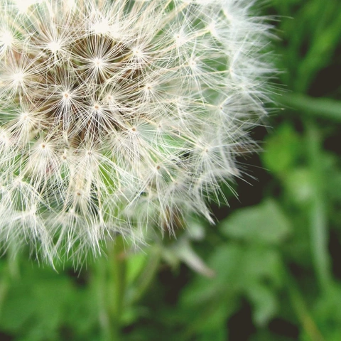 Pochette pour Nothing Stops