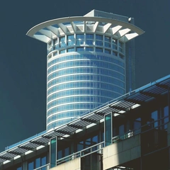 A Glimmer in the Neon