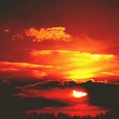 Echoes of the Ancients