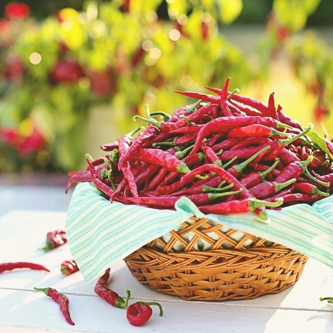 Cover art for Horn Brigade