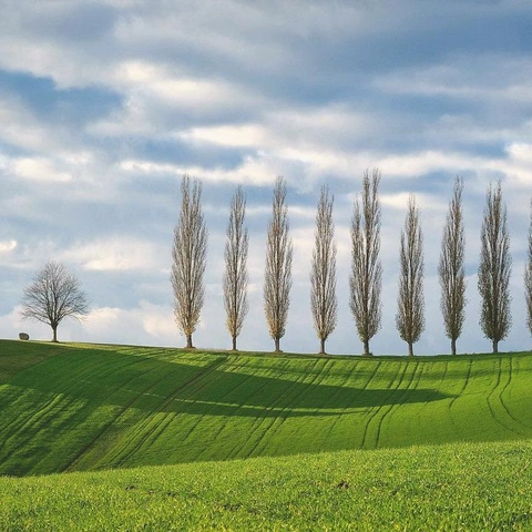 Cover art for Soothing Embrace