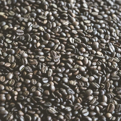 Coverbild für Night Bus Loops