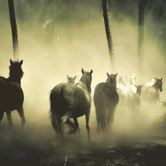 A Hero's Journey Begins