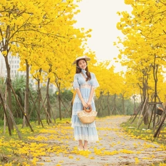 Handclaps in the Garden