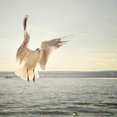 Rain on the Old Glass