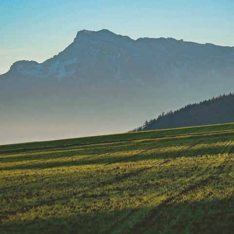 Coverbild für Until the Morning Comes