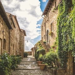 Slow Walk Home in Sepia