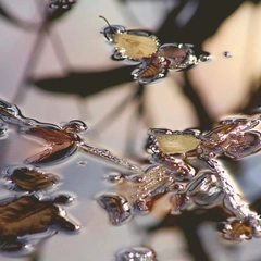 Shadows of Yesterday