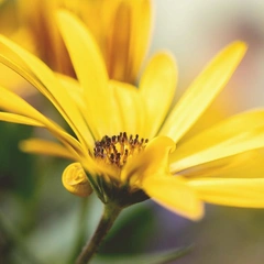 The Road to Somewhere New