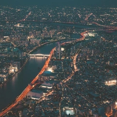 Circuitry of the Heart