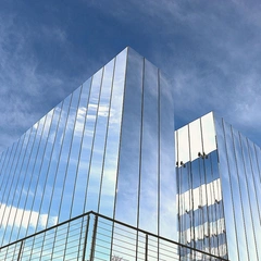 Digital Dawn in Motion