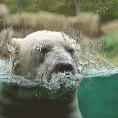 Cover art for System Overload