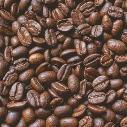 Cover art for Focus On Swing