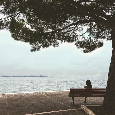 Cover art for Guitar on the Fire Escape