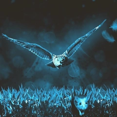 Keys in the Blackout