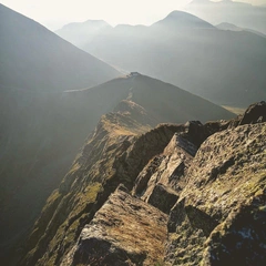 Echoes of the Horizon