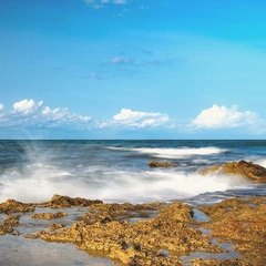 Cover art for Vector Surge