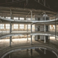 A Whisper Through the Pines