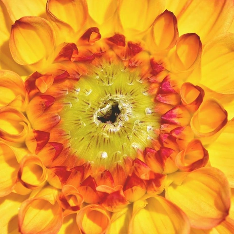 Coverbild für Running with Open Doors