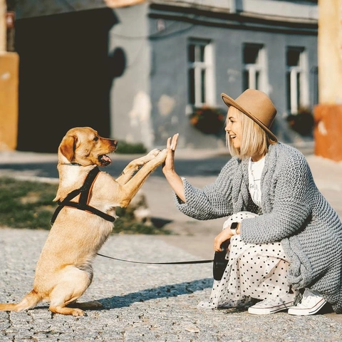 As It Wasのジャケット画像